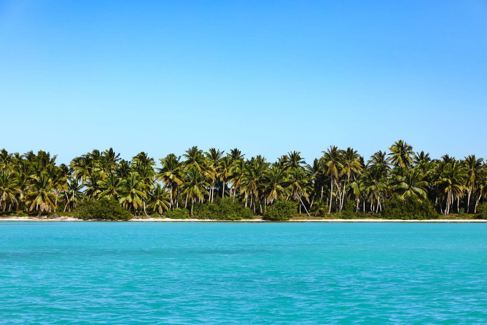 Palm‑fringed beach beside a resort pool with turquoise water
