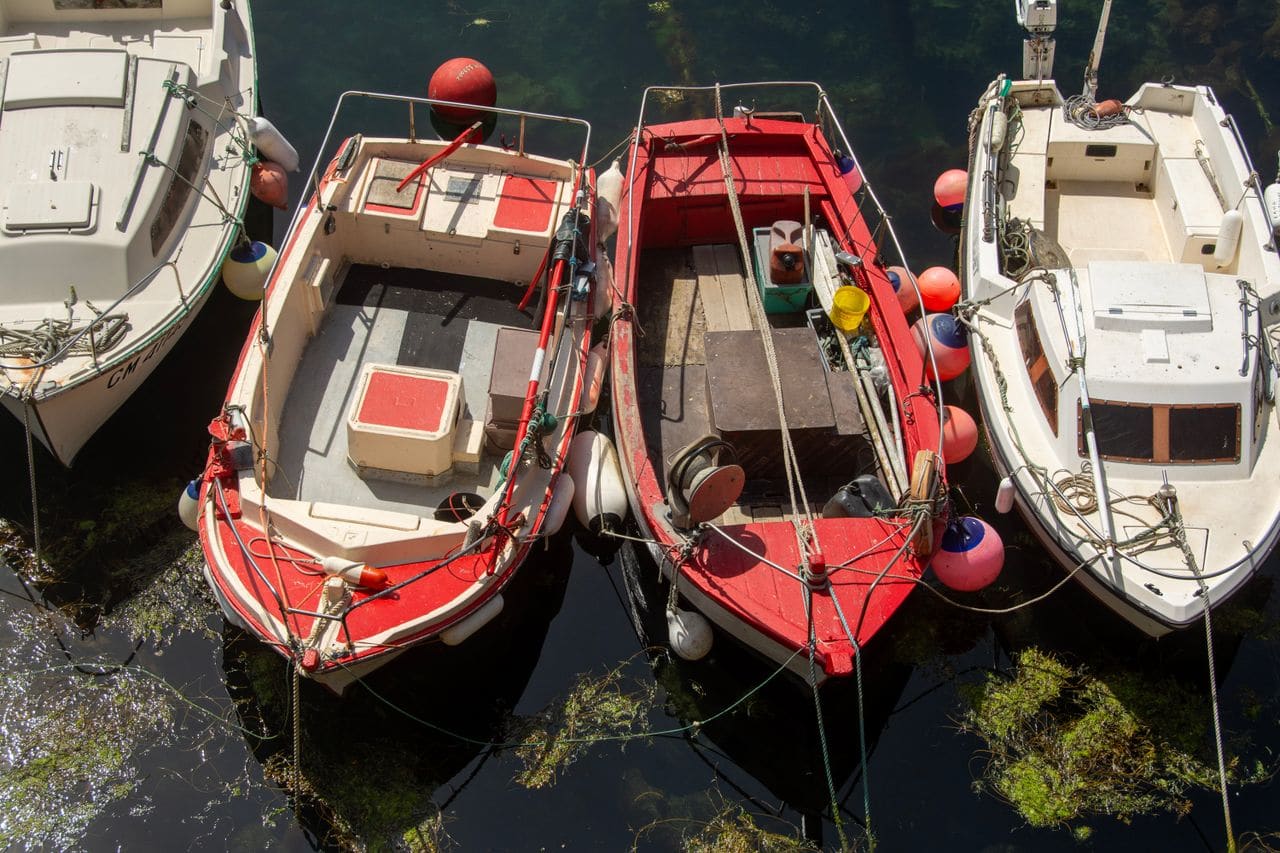 Coral reef with several mooring buoys anchored in clear water near an island